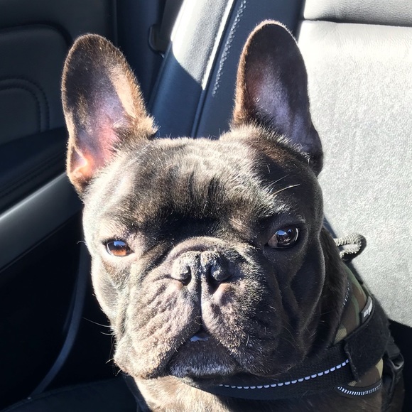 Meet your Posher, Jon - Picture 1 of 1